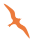 gaivota