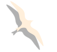 gaivta creme sombra